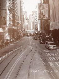 亚树的图片,自然之美与生命力的完美融合