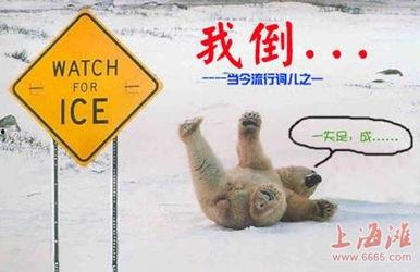 搞笑网络词汇,笑破肚皮！盘点那些搞笑网络词汇背后的爆笑故事